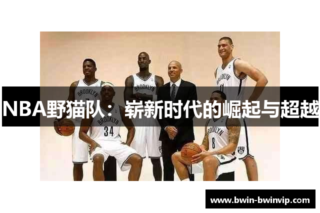 NBA野猫队：崭新时代的崛起与超越