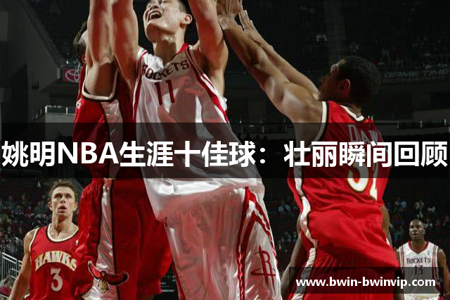 姚明NBA生涯十佳球：壮丽瞬间回顾