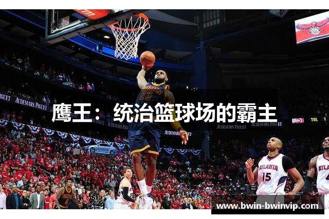 鹰王：统治篮球场的霸主