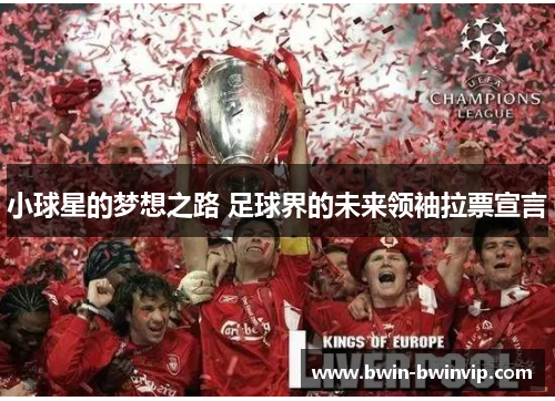 小球星的梦想之路 足球界的未来领袖拉票宣言