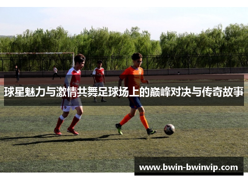 球星魅力与激情共舞足球场上的巅峰对决与传奇故事